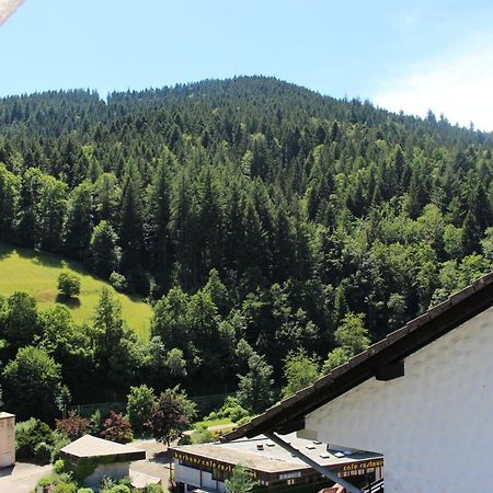 Ferienwohnung Schwarzwaldblick Bad Rippoldsau-Schapbach エクステリア 写真