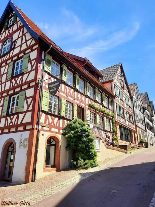 Ferienwohnung Schwarzwaldblick Bad Rippoldsau-Schapbach エクステリア 写真