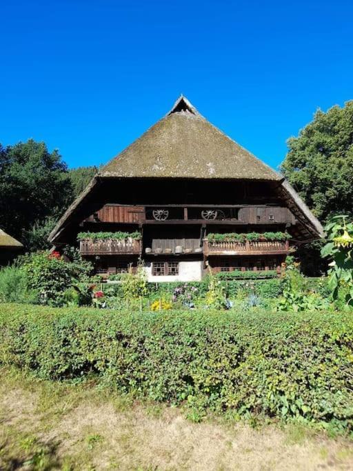 Ferienwohnung Schwarzwaldblick Bad Rippoldsau-Schapbach エクステリア 写真