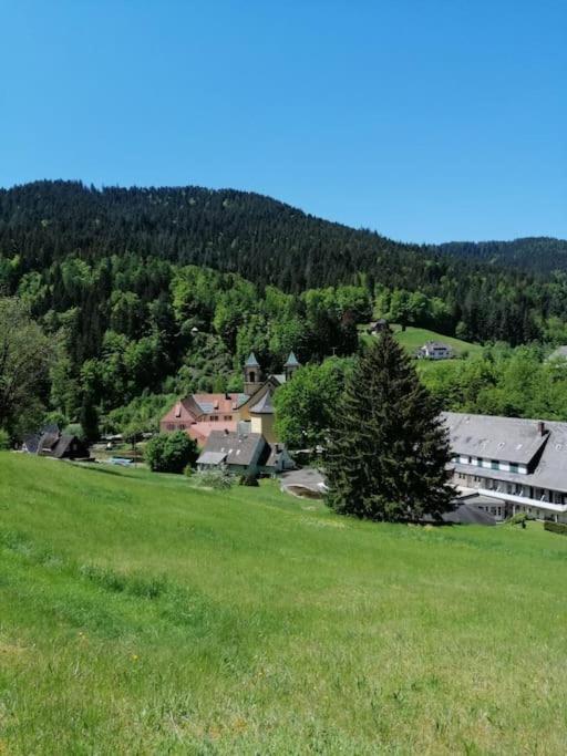 Ferienwohnung Schwarzwaldblick Bad Rippoldsau-Schapbach エクステリア 写真