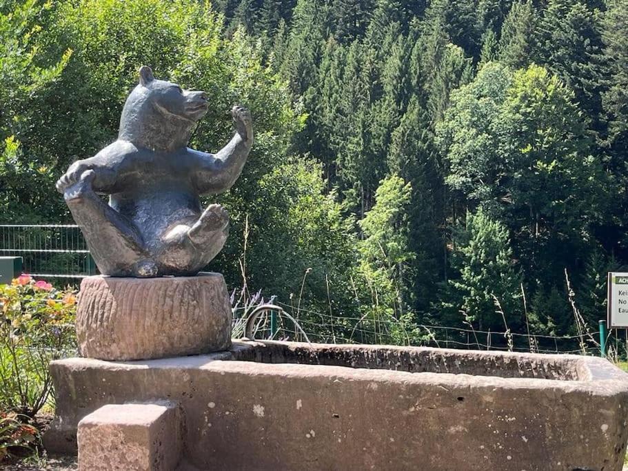Ferienwohnung Schwarzwaldblick Bad Rippoldsau-Schapbach エクステリア 写真