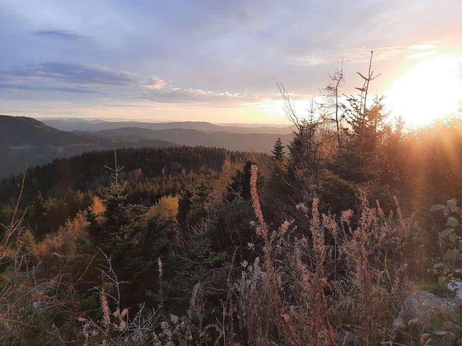 Ferienwohnung Schwarzwaldblick Bad Rippoldsau-Schapbach エクステリア 写真