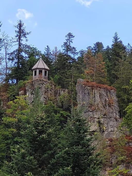 Ferienwohnung Schwarzwaldblick Bad Rippoldsau-Schapbach エクステリア 写真