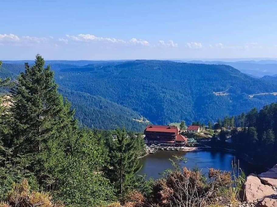 Ferienwohnung Schwarzwaldblick Bad Rippoldsau-Schapbach エクステリア 写真