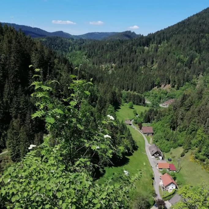 Ferienwohnung Schwarzwaldblick Bad Rippoldsau-Schapbach エクステリア 写真