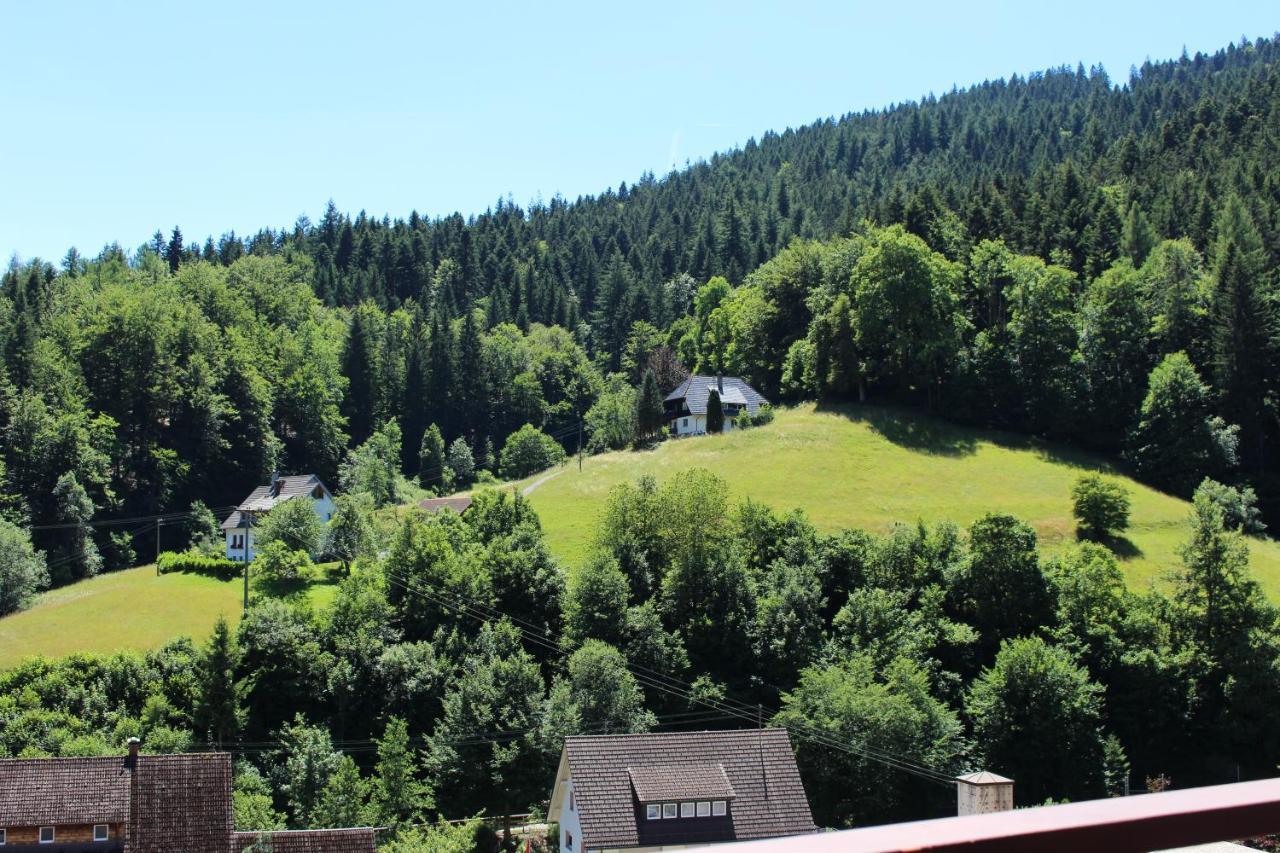 Ferienwohnung Schwarzwaldblick Bad Rippoldsau-Schapbach エクステリア 写真